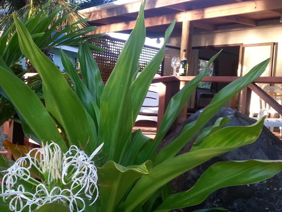 Sunset Palms Rarotonga Exterior foto